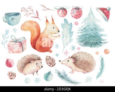 Set von Weihnachten Woodland Wald Cartoon Igel, niedlichen Eichhörnchen Tier Charakter. Winter weihnachtsbaum florale Elemente, Blumensträuße, Beeren, flackert Stockfoto