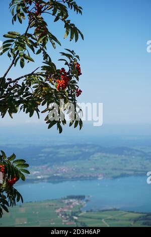 Blick in die Berge Stockfoto