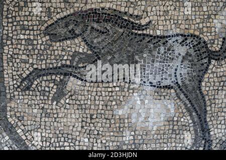 Hüpfendes Tier, vielleicht ein Pferd. 300s v. Chr. Mosaik, geschaffen für den Boden der Nordhalle in der Basilika von Aquileia, Friaul-Julisch Venetien, Italien. Das Mosaik ist jetzt in einer unterirdischen archäologischen Gegend ausgestellt, die als Ausgrabungskrypta bekannt ist. Stockfoto