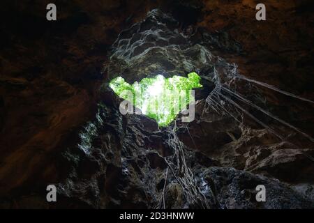 Blick vom Höhlenloch auf Baum und Himmel Stockfoto