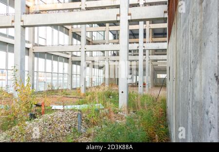 Der Bau eines Einkaufszentrums wurde eingestellt. Blick ins Innere des Gebäudes. Die Baustelle ist mit Gras bewachsen. Stockfoto
