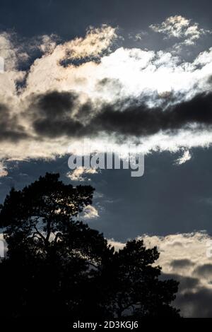 Dämmerung, die Sonne versteckte sich hinter den schwarzen Wolken. Stockfoto