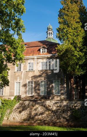 Palast in Iłowa, Kreis Żagań, Woiwodschaft Lubusz, in Westpolen, Europa Stockfoto