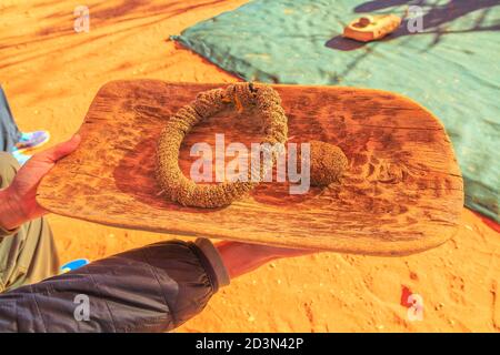 Kings Creek Station, Northern Territory, Australien - Aug 21, 2019: Close up Australian Aborigines Cookies aus Samen. Karrke Aboriginal Cultural Stockfoto