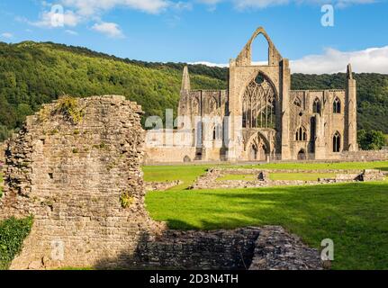Tintern Abbey, Monmouthshire, Wales, Vereinigtes Königreich. Die Zisterzienserabtei fiel in Ruine aftr die Auflösung der Klöster in der Regierungszeit des Königs Stockfoto