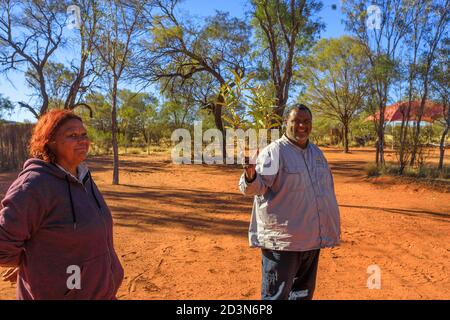 Kings Creek, Australien - 21. Aug 2019: Australische Ureinwohner-Guides zeigen die Buschpflanzen, die während der traditionellen Zeremonien der Einheimischen verwendet werden Stockfoto