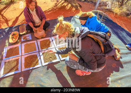 Kings Creek, Australien - 21. Aug 2019: Touristen erleben die Kultur der australischen Aborigines und zeigen die traditionellen Buschsamen, für die sie verwendet werden Stockfoto