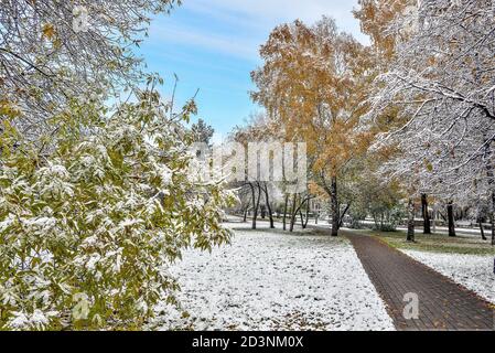 Erster Schneefall im bunten Herbst Stadtpark. Weiße flauschige Schnee bedeckt goldenen, roten, grünen Bäumen und Sträuchern Laub. Wechsel der Jahreszeiten - Märchen von Stockfoto