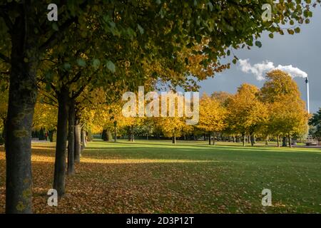 Glasgow, Schottland, Großbritannien. Oktober 2020. Wetter in Großbritannien. Herbstfarben in Glasgow Green. Kredit: Skully/Alamy Live Nachrichten Stockfoto