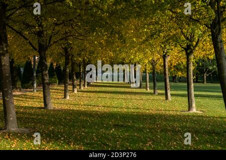 Glasgow, Schottland, Großbritannien. Oktober 2020. Wetter in Großbritannien. Herbstfarben in Glasgow Green. Kredit: Skully/Alamy Live Nachrichten Stockfoto