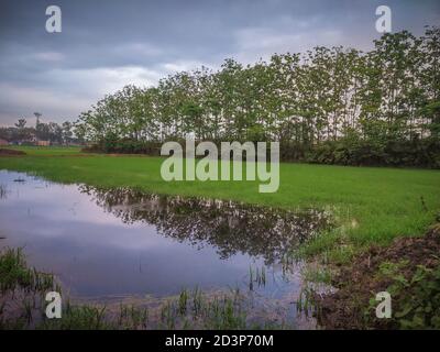 Schöne Herbstlandschaft des Hintersees. Bunte Morgenansicht der bayerischen Alpen an der österreichischen Grenze, Deutschland, Europa. Schönheit der Natur. Stockfoto