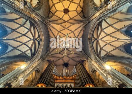 Kirchenorgel und Decke des Stephansdom in Wien, Österreich, Europa - St. Stephansdom Kirche Orgel und Decke, Wien, Österreich, Europa Stockfoto