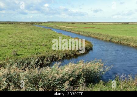 Creek in Salzwiesen bei Burnham Overy Staithe, Norfolk, Großbritannien, vom Norfolk Coast Path National Trail aus gesehen Stockfoto