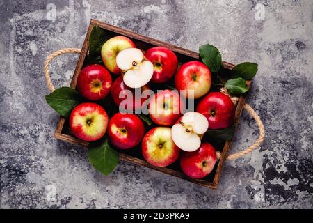 Reife rote Äpfel in Holzkiste. Draufsicht mit Kopierbereich. Stockfoto