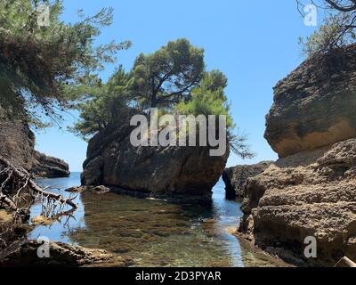 Erstaunliche tiefe Schlucht an der Mittelmeerküste Adria mit kristallklarem türkisfarbenem Wasser und üppigen immergrünen Pinien, Gelassenheit, Ruhe, Ruhe Stockfoto