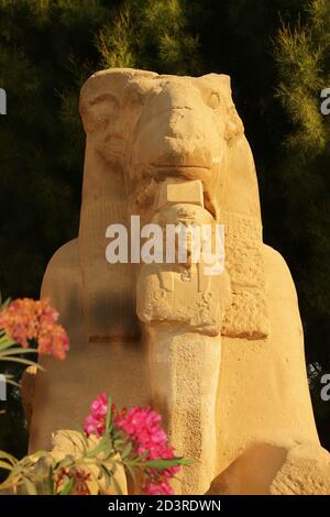 Der Tempel von Karnak ist der zweitgrößte Tempel im alten Ägypten und ein altes religiöses Zentrum. Es liegt am Ufer des Nils in Luxor. Stockfoto