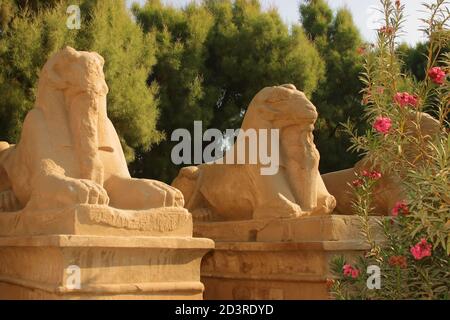 Der Tempel von Karnak ist der zweitgrößte Tempel im alten Ägypten und ein altes religiöses Zentrum. Es liegt am Ufer des Nils in Luxor. Stockfoto