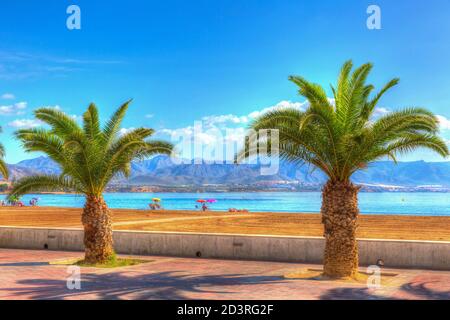 Palmen Puerto de Mazarron Strand Murcia Spanien hell lebendig Farben Stockfoto