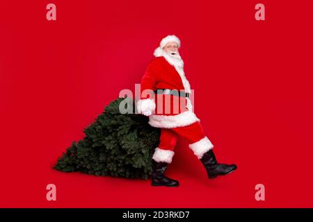 Volle Länge Körpergröße Profil Seitenansicht seiner HE Gut aussehend Fett übergewichtig fröhliche Santa trägt frische Tanne Neujahr Feier 2021 isoliert Stockfoto