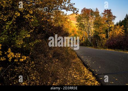 Schmale Bergstraße mit Herbstfarben. Farbenfrohe Bäume und gefallene Blätter schaffen ein visuelles Interesse an einer Bergkulisse. Stockfoto