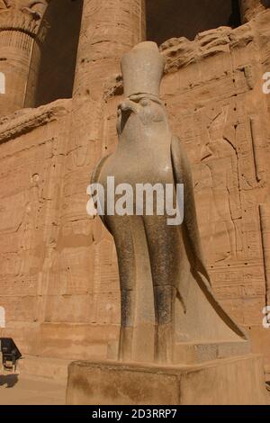 Falkenfigur aus Granit im Tempel des Horus in Edfu das Niltal am linken Ufer. Oberägypten zwischen Esna und Assuan Stockfoto