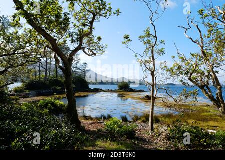 Die Küste am Kenmare River, County Kerry, Irland - John Gollop Stockfoto