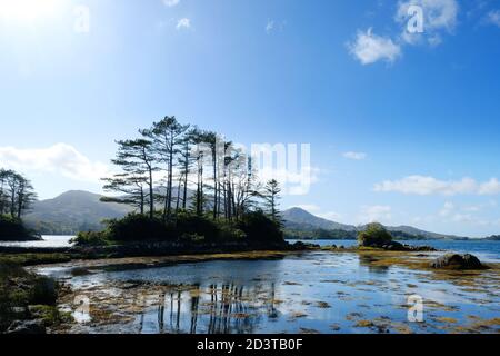 Die Küste am Kenmare River, County Kerry, Irland - John Gollop Stockfoto