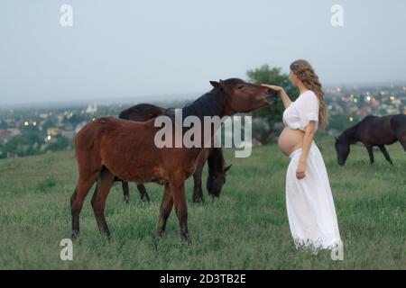 Ein schwangeres Mädchen in Weiß kommuniziert mit einem Pferd auf einer grünen Wiese. Therapie und Entspannung für schwangere Frauen. Stockfoto