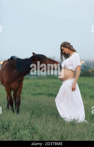 Ein schwangeres Mädchen in Weiß kommuniziert mit einem Pferd auf einer grünen Wiese. Therapie und Entspannung für schwangere Frauen. Stockfoto