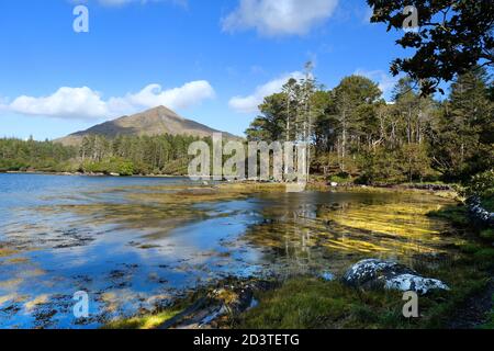 Die Küste am Kenmare River, County Kerry, Irland - John Gollop Stockfoto