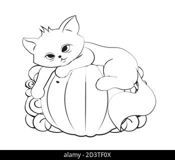 Malbuch halloween Katze, Kätzchen auf Kürbis. Bild in der Hand Zeichnung Cartoon-Stil, für T-Shirt tragen Mode drucken Design, Grußkarte, Postkarte. Stock Vektor