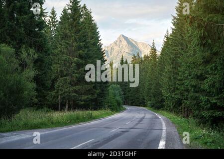 Leere Bergstraße, Nadelbäume auf beiden Seiten, Abendsonne scheint auf Berg Krivan (slowakisches Symbol) in der Ferne Stockfoto