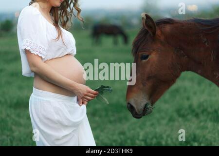 Ein schwangeres Mädchen in Weiß kommuniziert mit einem Pferd auf einer grünen Wiese. Therapie und Entspannung für schwangere Frauen. Stockfoto