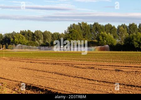 Ein mobiles Sprinklerbewässerungssystem in Aktion (und Schaffung eines Regenbogens) auf einem Feld in England. Stockfoto