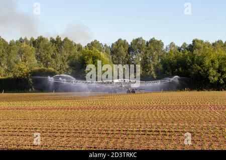 Ein mobiles Sprinklerbewässerungssystem in Aktion (und Schaffung eines Regenbogens) auf einem Feld in England. Stockfoto