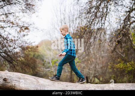 Preeteen männliche Kind Aktivität in der Natur. Ein Junge, der auf einem umgestürzten Baumstamm im Hintergrund des Herbstwaldes läuft Stockfoto