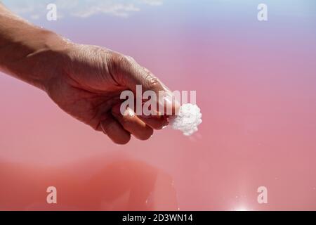 Handfinger halten rosa weiß Salz Flocke Kristallformation in der Nähe rosa lebendige See reflektierende Wasseroberfläche. Kurort sonnige Nahaufnahme auf Syvash, Ukr Stockfoto