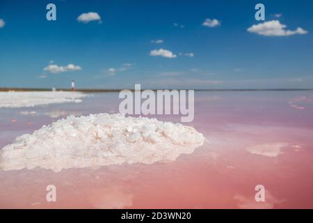 Salz rosa Kristalle Haufen Nahaufnahme leuchtet an der Seeufer mit rosa Wasseroberfläche Reflexion an sonnigen lebendigen Tag. Spa-Erholung auf Syvash oder Sivash, t Stockfoto