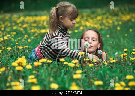 Niedliche fünf Jahre alte und elf Jahre alte Mädchen, die Löwenzahn-Samen in die Wiese blasen. Stockfoto