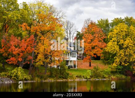 Herbst in Almonte Stockfoto