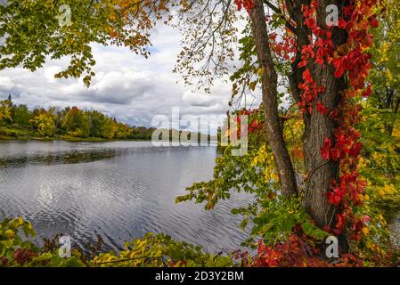 Herbst in Almonte Stockfoto