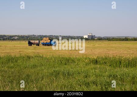 Region Nischni Nowgorod, Russland - 8. Juli 2020: Heuernte, landwirtschaftliche Arbeiten auf dem Feld mit Sonderausrüstung. Großer LKW mit Anhänger nimmt auf Stockfoto