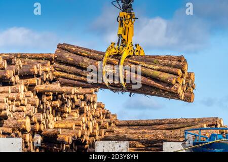 Holzexport oder Import, Verladung auf Frachtschiff in Wicklow Handelshafen oder Hafen in Irland. Transportindustrie. Nahaufnahme von Holzstämmen griple Stockfoto