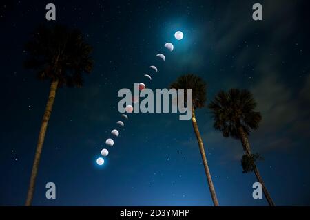 Ein Zeitraffer einer Mondfinsternis von Blood Moon in der Nähe von Fort Lauderdale Beach, FL. Das zu sehen war eine erstaunliche und fast mystische Erfahrung. Stockfoto