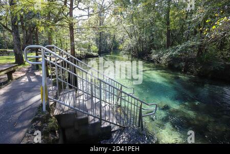 PONCE DE LEON, FLORIDA, USA - 18. Okt 2018: Eine kurze Treppe steigt in den Spring Run bei Ponce De Leon Springs State Recreation Stockfoto