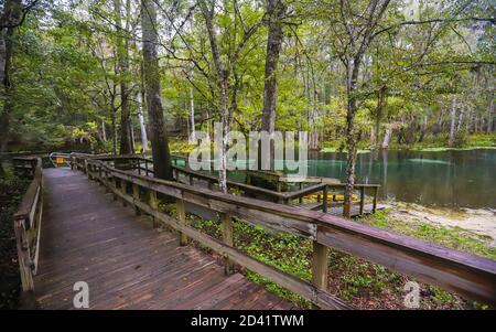 FORT WHITE, FLORIDA, USA - 21. Oktober 2018: Eine Promenade führt zum Ausgang entlang des Flussschwimmweges im Ichetucknee Springs State Park. Stockfoto