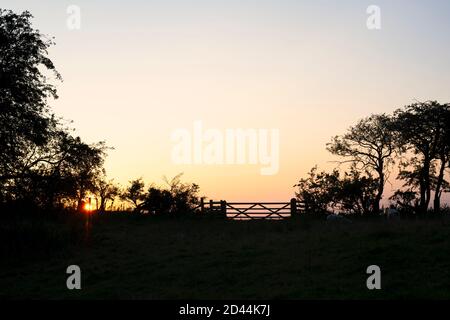 Silhouette Tor und Hecke Linie entlang der cotswold Way bei Sonnenuntergang auf Broadway Hügel. Cotswolds, Broadway, Gloucestershire, England Stockfoto