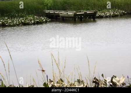 Wasserlandschaft eines leeren Pfades auf Stelzen im Russell W. Peterson Urban Wildlife Refuge in Wilmington, Delaware Stockfoto