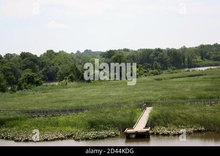 Ein leerer Pfad und Süßwassersumpf mit dem Christiana River im Hintergrund am Russell W. Peterson Urban Wildlife Refuge in Wilmington, DE Stockfoto