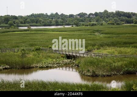 Blick auf einen Süßwassersumpf und einen ruhigen Christiana River im Russell W. Peterson Urban Wildlife Refuge in Wilmington, Delaware Stockfoto